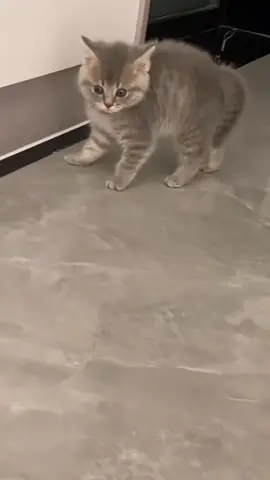 😂