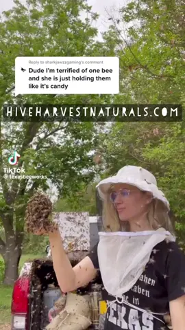 “🐝 Buzzing into your feed with an un-bee-lievable sight! Dive into the mesmerizing world of bees with this close-up encounter. Watch as they perform their magical dance, showcasing nature’s brilliant choreography. 🌼🍯 #BeeBrilliant #NatureLovers #BuzzingBeauty #HiveLife Experience the hive’s hustle and bustle in full glory - it’s a tiny universe humming with life! Don’t forget to like, share, and save this post for a daily dose of nature’s wonder. 🌏💛 #BeeAmazing #EcoWonder #PlanetProtectors” www.hiveharvestnaturals.com