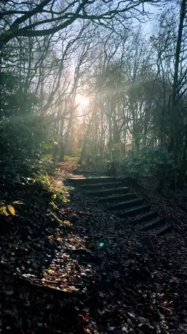 Winter walk #winter #december #walk #walkyourwonderful 