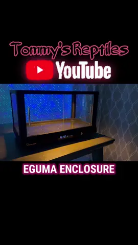 EPIC ENCLOSURE!!!🎆#reptile #reptiles #reptileroom #enclosure #terrarium #vivarium #paludarium #fyp