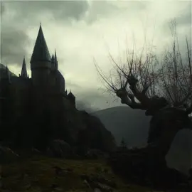 the harry potter aesthetic 🫶🫶 #harrypotter #hogwarts #fyp 