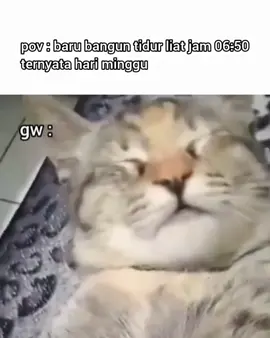 ☠️☠️ #lewatberanda #memengakak #fyp #catlovers #catfunny #catfunnyvideos 