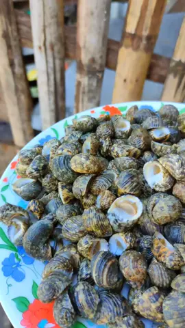 Kung malapit ka sa dagat at naka kain kana nito, ano tawag nito? #samartv  #tiktok  #tiktokvideo  #seafoods  #seafood  #sihi 