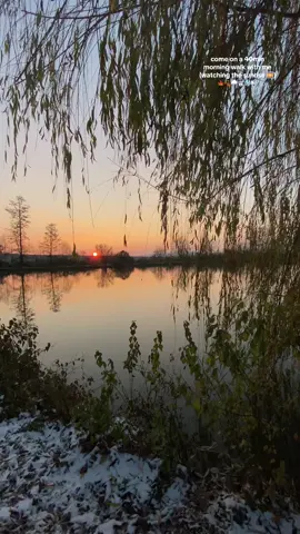 morning walks are so peaceful🌅🍁⛄️ #morning #mirningvibes #mirningwalk #goonawalkwithme #dailywalk #dailywalks #snowwalk #sunrise #morningsunrise #morningsunshine #watchthesunrisewithme #morningroutine #aesthetic #productivity #motivation 
