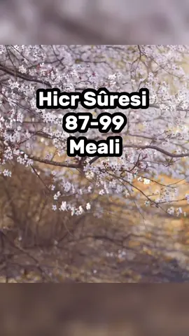 Hicr sûresi 87-99 âyetlerin meali #kuranıkerim🕋🕊🕋 #meal #ayetler #sureler #islam 