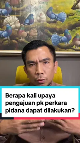 berapa kali upaya peninjauan kembali kasus jessica mirna dapat diajukan? #peninjauankembali #jessicamirna #jessicamirnakopisianida #jessicawongso 