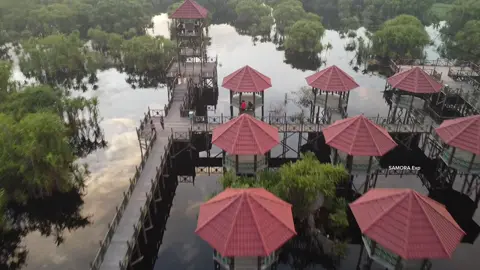 Dermaga Kereng Bangkirai merupakan salah satu objek wisata yang banyak diminati wisatawan di Palangka Raya. Jarak tempuh dari pusat Palangka Raya ke dermaga kereng lebih kurang 20 menit dengan jarak 11 km dari pusat kota.   Dermaga Kereng Bangkirai merupakan gerbang masuk menuju kawasan Taman Nasional Sebangau. Taman Nasional Sebangau merupakan kawasan wisata alam dan juga lokasi penelitian gambut di Kalimantan Tengah #wisatapelabuhandermagakerengbangkirai #kerengbangkiraipalangkaraya #palangkaraya #djimini2se #djindonesia #dayak #samoraexp 