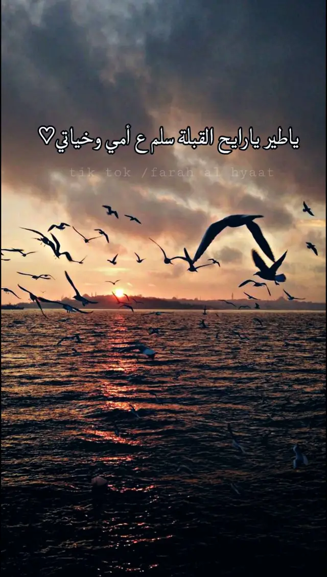 فراق الغوالي  غصة في القلب لم تشفيها الدنيا بأكمله❤️✨#اخر_اشي_نسختو💭🥀 #ممكن_لايك_فولو_كومنت_لطيف😔؟ #اقتباسات #قهوتي_farah_al_hyaat♡ #قهوتي_farah_al_hyaat #قهوتي_farah_al_hyaat🧡 #قهوتي_farah_al_hyaat🧡 #قهوتي_farah_al_hyaat🤎 #عبارات #كتابات #حالات #حزن #قهوتي_farah_al_hyaa #farah_al_hyaat #قهوتي_farah_al_hyaat🤎☕🧸 #عبارات_حزينه #قهوتي_farah_al_hyaat🤎☕ 