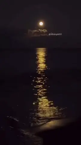 خليني ساكت أنا كلي عتب .. ‏الكلام أحيانًا يجرح لا حكيت  ‏صاحبي والله ما طاح الحطب  ‏غصتي بالصدر لكن ما شكيت !#قصايد_ذوق 