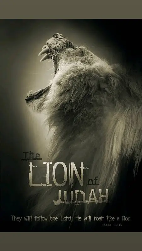 #lion #judah #christiantiktok #fyp #bibletruths #wholebiblebeliever #lastday #endtimes 