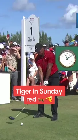 Sunday red Tiger Woods is off the tee for his final round at the Hero World Challenge. 🐅 📺: Live on Peacock | GC 11:30 ET, NBC 1:30 ET #golf #golftok #golftiktok #tiktokgolf #tiger #tigerwoods #tigerwoodsgolf #letsgotiger #pga #PGATOUR #pgatourgolf #thebahamas #bahamasgolf #golfdrive #tigerdriver 