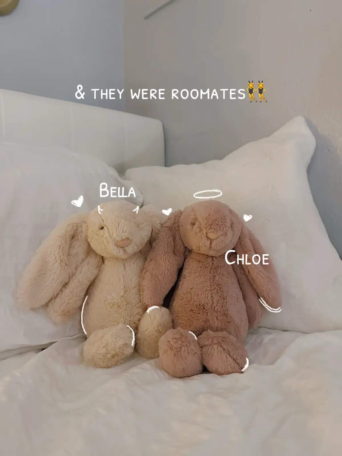 #roomie #roommates #college #collegelife #dormlife #jellycat #stanley #summerfridays #uggs
