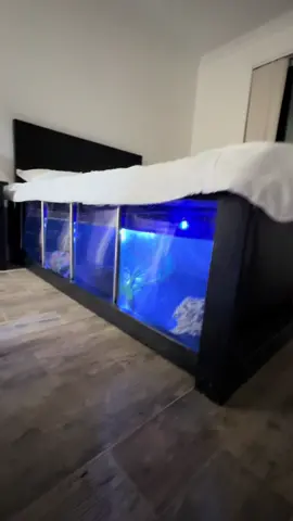My new waterbed 