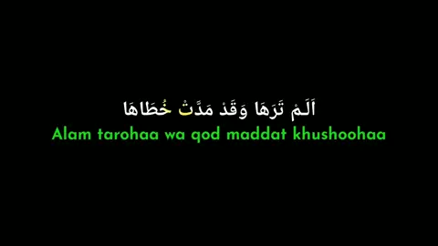 Canduu bgtt #overlaylyrics #lyrics #sholatullahimalahatkawakib #fypシ #viral #sholawat #beranda #tiktok #masukberanda #jogja24jam 
