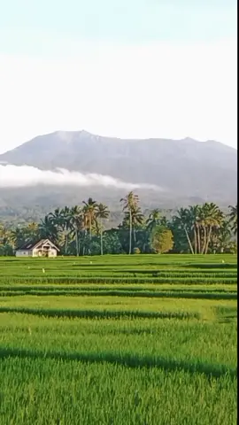 Gunung Marapi sebelum meletus dilihat dari Batipuh #marapisumbar #marapimeletus #erupsimarapi #marapibukittinggi #sumbartiktok