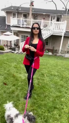 We love our new dog leash! #dogleash #dog#puppy 