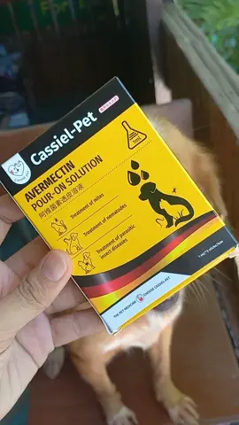 Cassiel-Pet Pour-on Solution basahing mabuti ang instructions 😊 #fyp #cassielpetavermectinpouronsolution #cassielpet #fyppppppppppppppppppppppp #avermectinpouron @cassiubyow4 