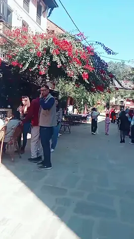 २०८० साल बन्दिपुर घुम्न आउने को भिडभाड 🥹