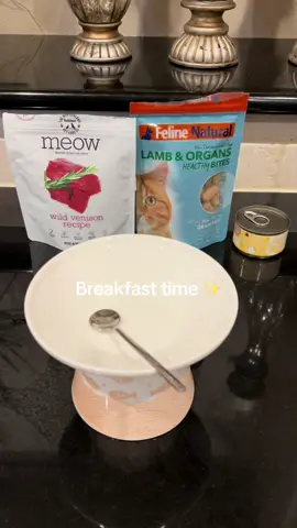 Let's feed my two hungry cats together. 🐈‍⬛🐈 #thankyouforwatching #happycat #hungrycat #feedme #feedingmycat #feedingtime #catfood #cattok #happyholidays #holidaycountdown #weruva #weruvacatfood #felinefriends #feline #felinenatural #meowwolf #sponorme #sponormeplease #goodvibes #goodfoodvibes #feedmycat #feedmycatwithme #feedmycatsasmr #asmr #fyp #trending #viral #catasmrvideo #catasmrlicking #asmrpetsounds #asmrpet #catcommunity #catcomedy #catlove #catlovers #catloversclub #catperson #catproblems #catparents #catmom #catmomlife #catmoms #catmomproblems #goodeating #eatingood 