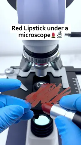 Would you still use lipstick after seeing it magnified 400 times?#microscope #undermicroscope #fyp #tiktok 