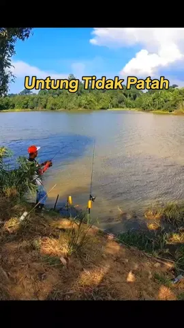 Celaka Joran nya Kecil #MancingLiar #PredatorToman #ikanbesar #mancing #fyp #MancingIkan #joranpamcing #strikebesar 