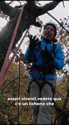 Prima parte: Arrampicata sul rovere! 🌳♥️ #giova #giovalovesnature #giovalovesnaturearoundtheworld #rovere #arrampicata 