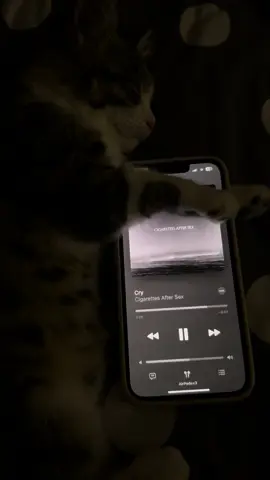 #viral #cat #music #ciggaretsafterwhat #cas #cry #foryoupage #foryoupageofficiall #tiktok #foryou 