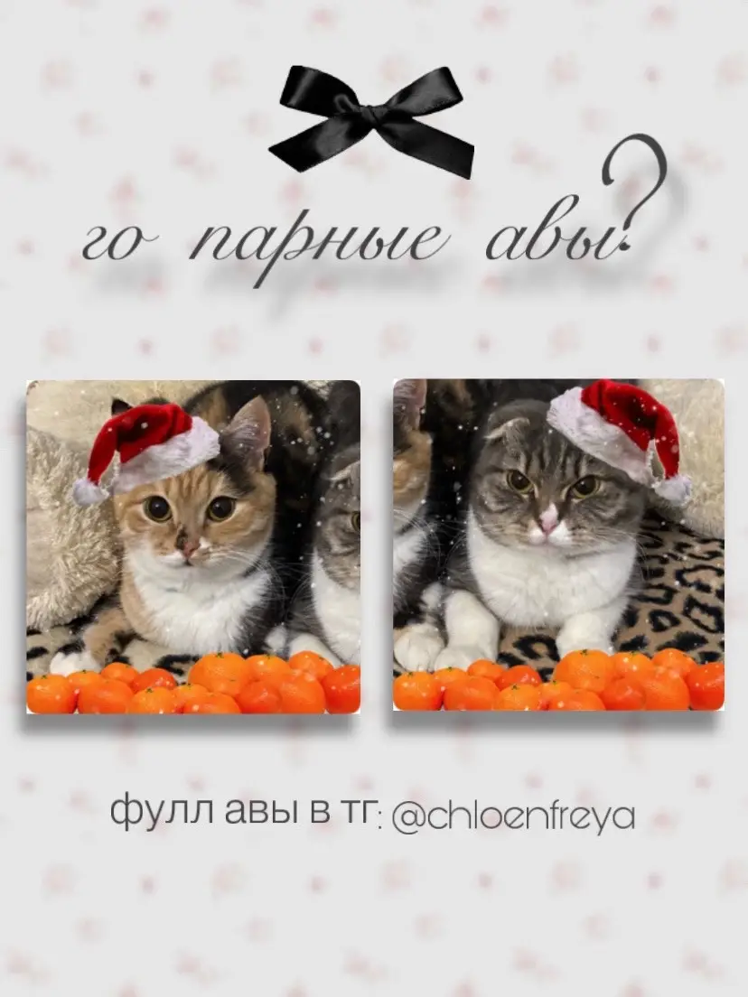 #fypシ #хлояифрейя #парныеавы #christmas 