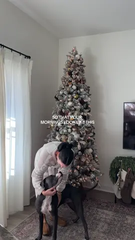 Saw someone say to put your house to bed, and it was the best thing I did — going to start making it a habit to fully clean before going to bed because waking up to this was 🥺🤎 #cleaning #cleaningtok #cleaningmotivation #cleaningtips #cleaningvideo #putyourhousetobed #morningviews #morningvibes #cleanhousecleanmind #cleanhousemission #christmasdecorating 