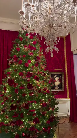 Spending Christmas at the Rothschilds’ Manor🎄 #christmas #merrychristmas #luxury #rothschild #royalcore #regal #palace #oldmoney #oldmoneyaesthetic #christmascountdown #christmastiktok #luxury #luxurylife #moneymoneymoney #rich #richlife #christmasideas #luxe #christmaswonderland #debutante 