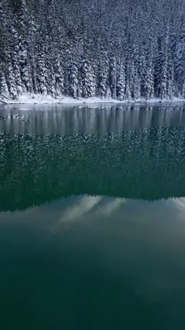 Soaring over icy waters, towards a snow-kissed shore, adorned with trees dressed in white 😍 #winter #lake #frozenlake #bluewater #snow #WinterFlight #SnowscapeMagic #FrozenAdventure #dji #godisgreat #oregonlife #pnwadventures 