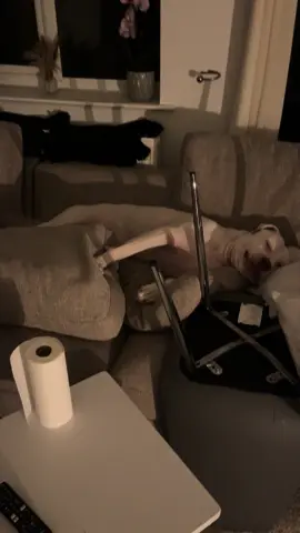 We are trying everything to keep our dog off the sofa ☠️☠️☠️ like how did be even get up there ☠️ someone help #foryoupage #foryou #dog #dogsoftiktok #amercianbully 