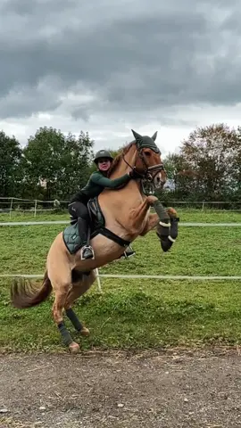 Es gibt eventuell bald grosse Neuigkeiten🤩🥹🎉 Was vermutet ihr könnte es sein? #holandês #lusitano #horse #equestrian #equestrianlife #equestriangirl #dressur #foryou #foryoupage 