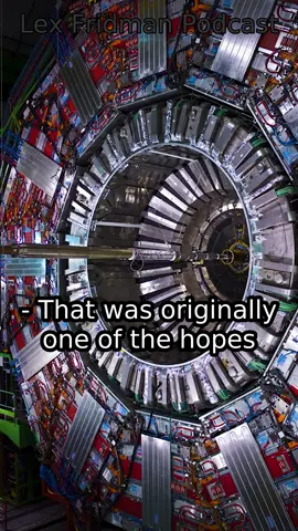 Physicist explains Large Hadron Collider discoveries - clip from Lex Fridman Podcast #403 with Lisa Randall. Guest bio: Lisa Randall is a theoretical physicist at Harvard.