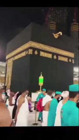 in sha Allah 🤲 Ameen sum Ameen 