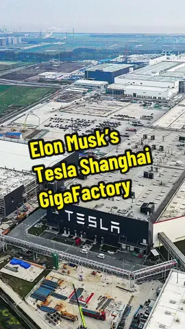 The First and the most producing Tesla Gigafactory outside of United States - Shanghai Gigafactory #documentary #world #construction #automobile #tesla #factory #elonmusk #teslashanghai 