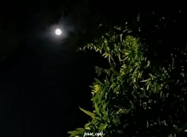 To my grandma:                                                                                      #فارس_قطرية #لو_كنت_عرفت_ساعتها_إنها_هتكون_آخر_مرة #foryou #fyp #trending #tiktok #withoutmusic ##foryoupage #fypシ #jessy🤙🏻 #explore #trend 