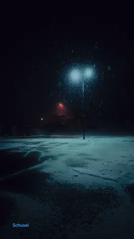 Silent night. #snow #winter #moody #dark #cinematic 