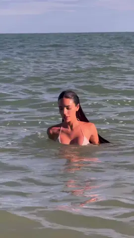 ✨