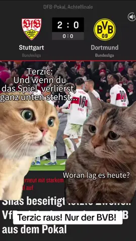 #Terzic #interview #BVB #Bundesliga #borussiadortmund #Fussball #stuttgart #vfbstuttgart #Watzke #guirassy #Meme #MemeCut #CapCut #katzen #katze #lustig 