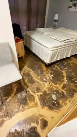 customer says my house exploded🤣🤣 #drain #drains #drainage #drainclean #drainunblocking #draincleaning #drainpipe #drainer #blockeddrain #blockeddrains #clean #cleaning #CleanTok #unclogging #uncloggingdrains #plumbing #plumber #backedup #backeduppoop #poo #poop #unblock #unblockdrains #sewer #sewerage #sewage #cloggeddrain #pipe #pipes #shit #toilette #toilet #manhole #jetteing #septictank #debouchage #assainissement #satisfying #oddlysatisfying #dirtyjobs #asmr #fyp #fypシ #wow #tiktok #foryoupage #viralvideo #viraltiktok 