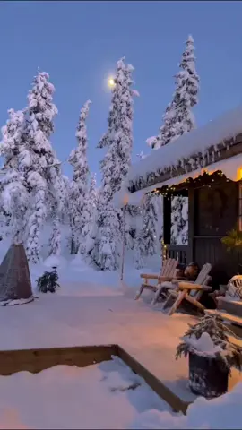 #snow #winter #christmas #nature #travel #scenery #landscape #beautiful #foryou #fyp 