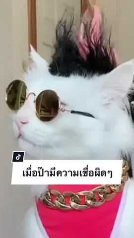 ยุโรปเราเดียวกันมั๊ยป๊า😂#โมจิโร่style #เตาเตาแมวเอ็น #สวนสัตว์tiktok #แมวน่ารัก #CapCut 