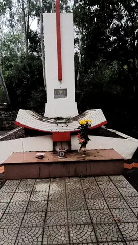 Mộ thật nhà thơ Hàn Mặc Tử