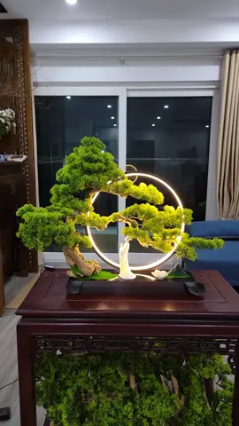 Lên Đồ tiểu cảnh decor phòng khách siêu hot.. #annhiendecor #gocnhobinhan #tieucanhbonsai #khucvuongtinh 