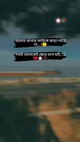 আমার আবার কাউকে ছাড়া লাগে না! সবাই আমাকে ছেড়ে চলে যাই! 🙂#stutusvideo #vairal #foryo #foryou #unfrezzmyaccount #pppppppppppppppp #raihan 