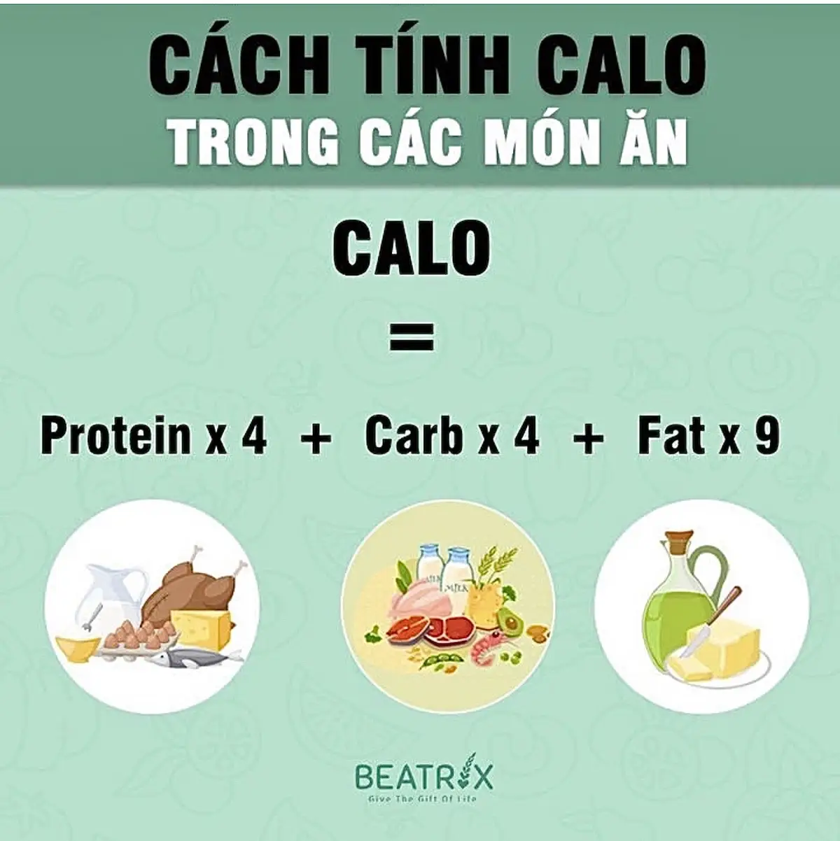 Coi để biết calo mấy món này để đừng ăn mạnh miệng quá nha😂😂😂#xuhuong #hànhtrìnhgiảmcân #giamcanthanhcong #bikipgiamcan #giamcan #healthy #thaydoibanthan #eatclean #đồăngiảmcân 