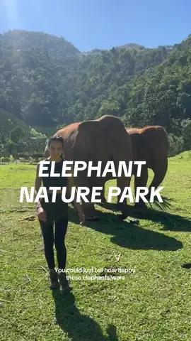 Such an amazing experience! 🐘   Do your research when choosing to visit elephants and all animals! Not all “sanctuaries” are what they claim to be.  #elephants #elephantnaturepark #bucketlistexperience #thailandtravel #thailandelephants #chiangmai #animalsanctuary #animaltok 