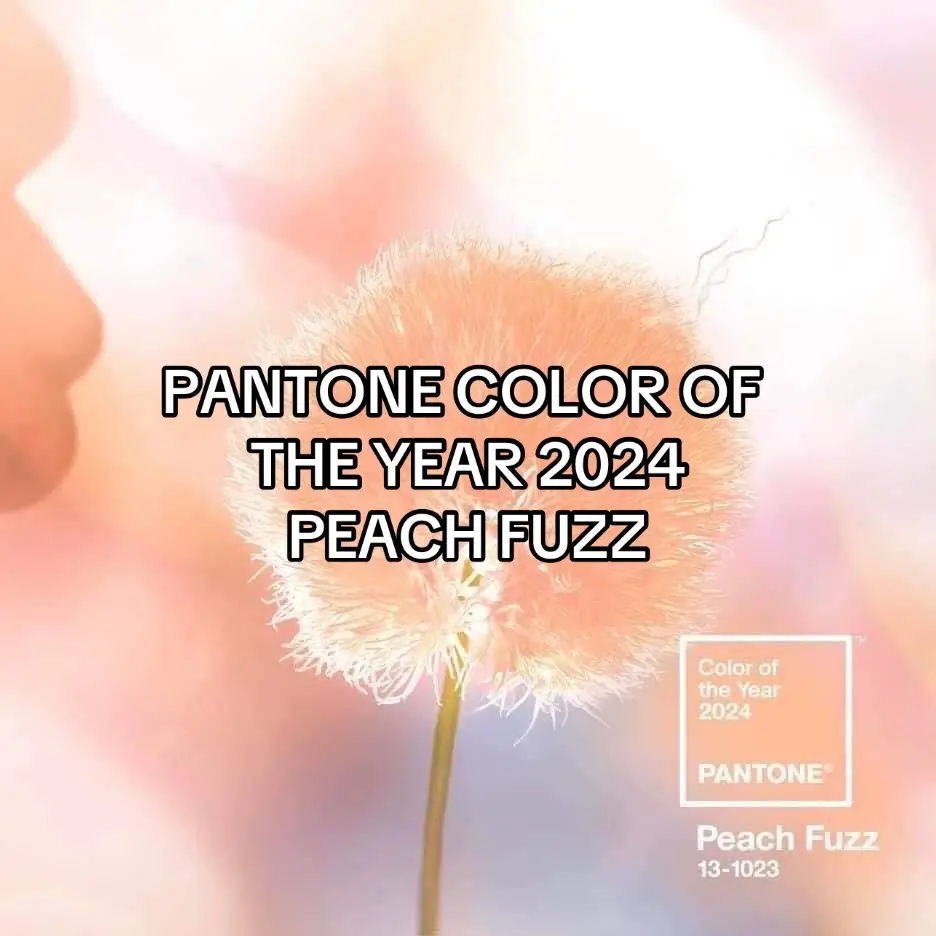 #coloroftheyear2024 #2024 