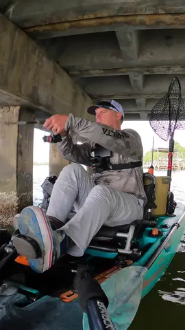 Couldn't Believe I Caught This Here! #fyp #fishing #saltwaterfishing @FFPFishing 